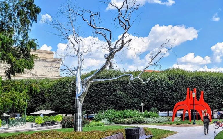 20220826_123710-scaled