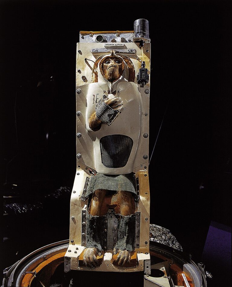 960px-Able_on_display_in_Apollo_to_the_Moon,_National_Air_and_Space_Museum,_Smithsonian_Institution